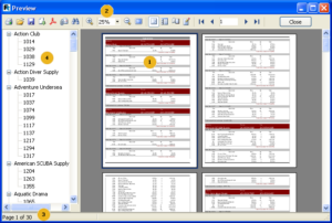 Report viewing, print & export - Agile Developer